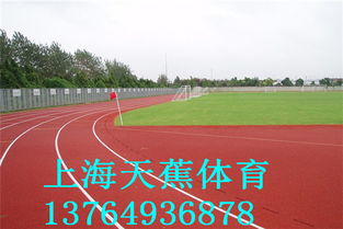 鋪設(shè)塑膠跑道 環(huán)保材料的選擇、生產(chǎn)廠家與價(jià)格分析