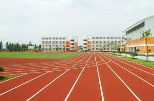 蘇州硅PU塑膠跑道承建與塑料跑道生產 打造安全環保的運動空間