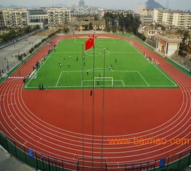 貴州透氣型塑膠跑道選購指南 優(yōu)質(zhì)廠家甄別與價(jià)格解析