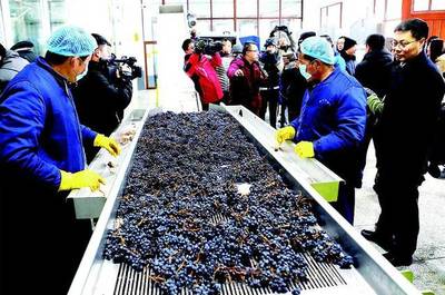 [吉農&middot;產業] 集安舉辦&ldquo;通化山葡萄酒產區高峰論壇&rdquo;,中國酒莊旅游聯盟成立!