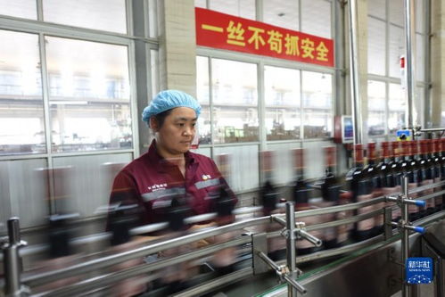 小葡萄撬動大產(chǎn)業(yè)