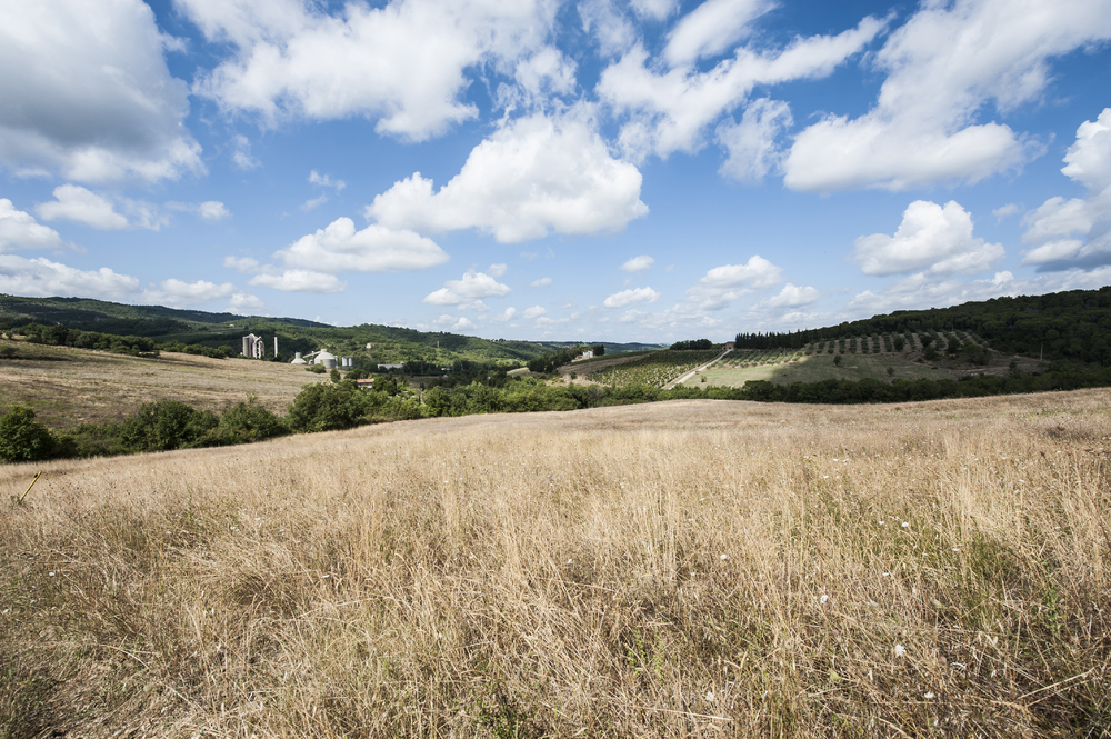 托斯卡納的農(nóng)產(chǎn)品加工工廠意大利葡萄酒農(nóng)場四周環(huán)繞著葡萄園和橄欖樹