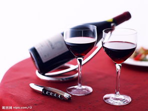 法國原裝紅酒進(jìn)口全流程解析 從報(bào)關(guān)商檢到市場(chǎng)銷售